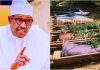 Kisan Gilla: Al’ummar Sokoto sun aika wa Buhari wasika A273D1E7 8150 470D 9DC6 9B687A8D8039