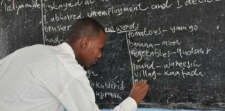 Malaman firamare a babban birnin tarayya sun fara yajin aiki A teacher doing his work 1