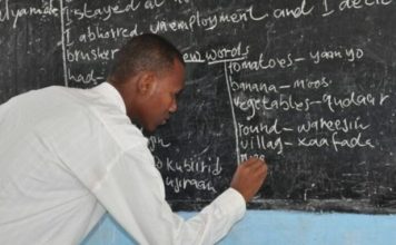Malaman firamare a babban birnin tarayya sun fara yajin aiki A teacher doing his work 1