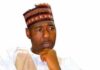 Zaben 2023: Kwamishina a Jihar Borno ya bar aiki domin tsayawa takara babagana umara zulum 1