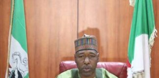 Tun kwanakin baya na Amince da Mafi Karancin Albashi ga Malamai 5,439-Zulum. Borno