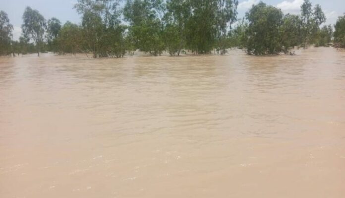 IMG 20220912 WA0247 750x430 1