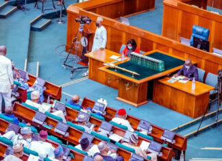 Ki bar aikin idan baza ki iya ba- Majalisar wakilai ga ministar kula da ayyukan jin kai Reps