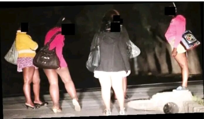 FB IMG 16768153864973311