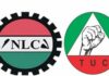 “NLC ba ta tuntuɓe mu kafin ayyana yin zanga-zanga a fadin Najeriya ba” – TUC NLC, TUC, zanga-zanga, najeriya