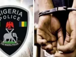 Mutum guda ya mutu, uku sun jikkata bayan wani mutum ya bude wuta a wajen DJ a Kano Police Arrest 750x430