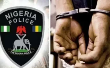 Katsina: Ƴan sanda sun cafke wata mata bisa zargin kashe Kishiyarta Police Arrest 750x430