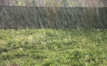 Hukumar NiMet ta yi hasashen samun Ruwa da tsawa Rainfall (1)
