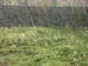 Hukumar NiMet ta yi hasashen samun Ruwa da tsawa Rainfall (1)