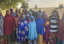 Da ɗumi-ɗumi: Yadda ɗalibai ƴan mata 25 da aka sace a Kebbi suka shaƙi iskar ƴanci Kidnapped Kebbi School Girls Regain Freedom 750x430