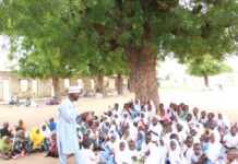Dole ne a daina koyarwa a ƙarƙashin bishiya – Gwamnatin Tarayya ta gindaya wa jihohi wa’adin gyara makarantu Pupils in Kano community study under trees due to dilapidatedcollapsed classrooms