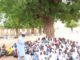 Dole ne a daina koyarwa a ƙarƙashin bishiya – Gwamnatin Tarayya ta gindaya wa jihohi wa’adin gyara makarantu Pupils in Kano community study under trees due to dilapidatedcollapsed classrooms