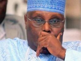 Ka daina siyasa da hutun da Shugaba Tinubu da ya tafi Turai, ka fada wa ‘yan Najeriya tsare-tsarenka — Kungiyar PBAT ta caccaki Atiku Atiku sad sad