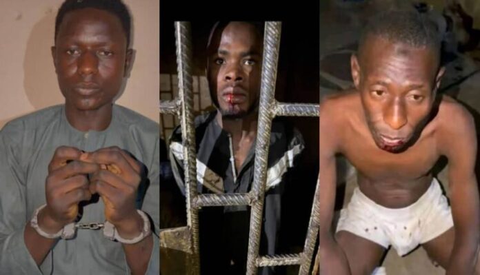 WhatsApp-Image-2026-01-18-at-10.44.11-750x430 WhatsApp Image 2026 01 18 at 10.44.11 750x430