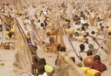 Bikin Argungu karo na 61: Sama da masunta 50,000 sun shiga kogi kafin isowar Tinubu Argungu fishing festival 750x430