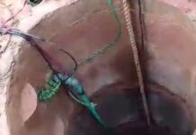 Wani Mutum ya mutu yayin ƙoƙarin ceto akuya daga rijiya a Oyo One of the officials of the state Fire Service trying to recover the corpse from the well in Saki 708x430