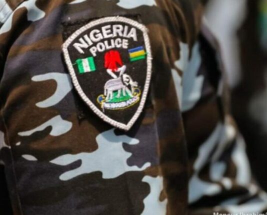 ‘Yan sanda sun kama wata mata da ake zargi da kona kishiya da ‘ya’yanta a Kano Police olopa new 750x430
