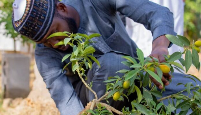 WhatsApp Image 2026 04 28 at 07.57.06 750x430