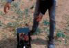 Matashi mai kirkire-kirkire a Kano ya samar da na’urar AI wanda zata gano da kawar da kwarin gona IMG 20260620 WA0040 675x430