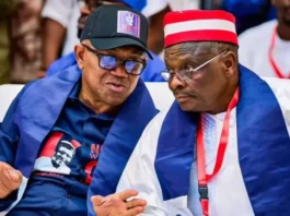 Abin da yasa muke son Peter Obi, Kwankwaso, da saura sa hannu kan yarjejeniyar adawa da barin jam’iyya – NDC Peter Obi Kwankwaso 750x430