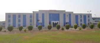 images-51 images 51