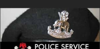 Hukumar kula da ayyukan ‘yan sanda ta kara wa jami’ai 80 da Kwamishinoni 13 girma PSC