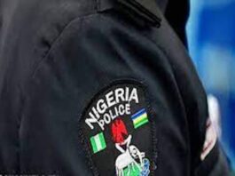 ‘Yan sanda sun fara bincike kan mutuwar wani mutum mai shekaru 60 a otal a Jigawa Police badge