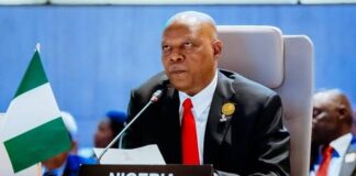 Tinubu ya bukaci Tarayyar Afirka (AU) ta dauki mataki kan hare-haren kyamar baki a Afirka ta Kudu Kashim Shettima AU